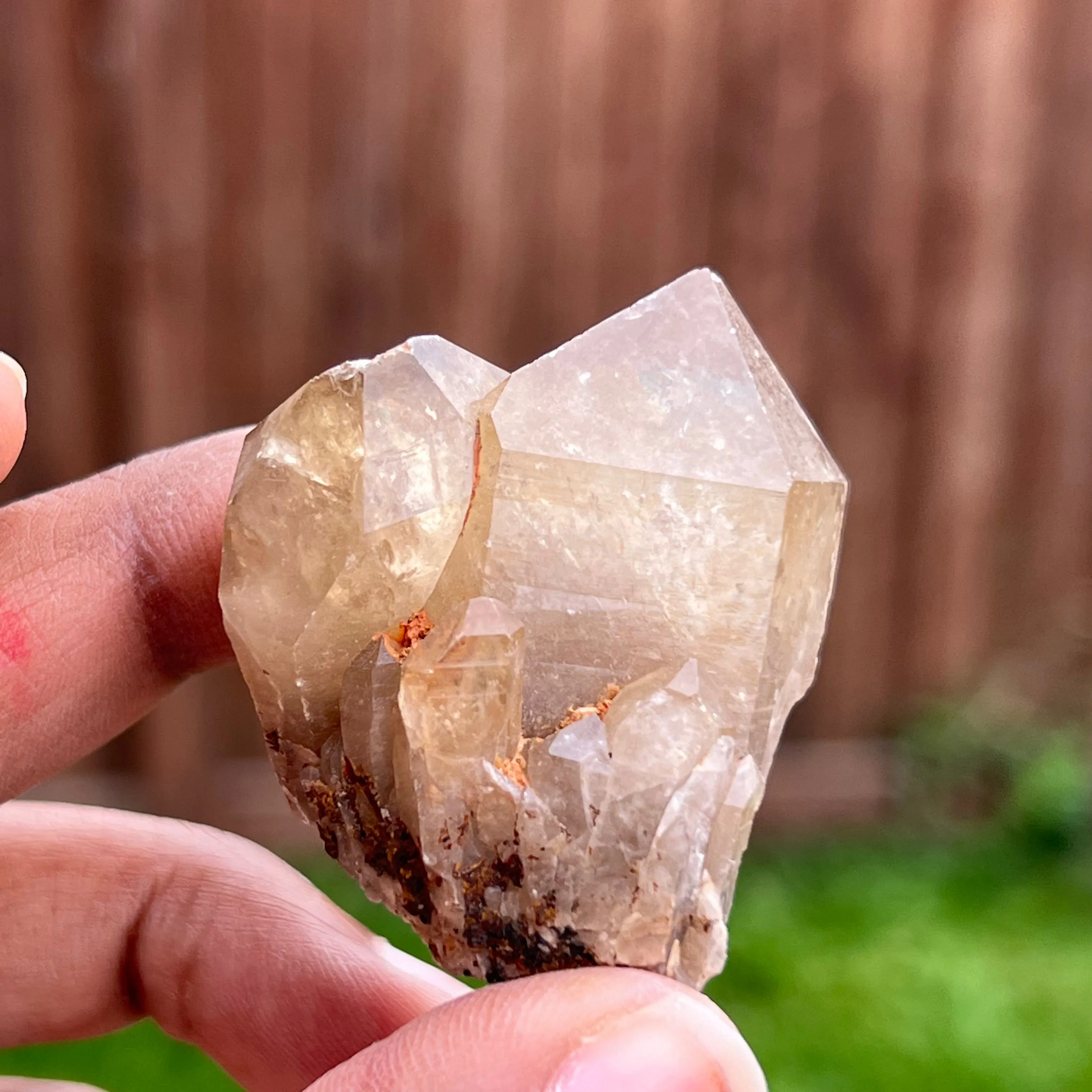 Kundalini Quartz Citrine Points,  Democratic Republic of Congo, Lwena, Congo Citrine